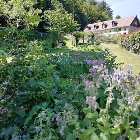Bed and Breakfast La Climontaine Urbeis Zewnętrze zdjęcie